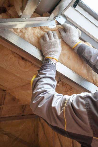 Best Attic Insulation Installation  in Pine Level, NC