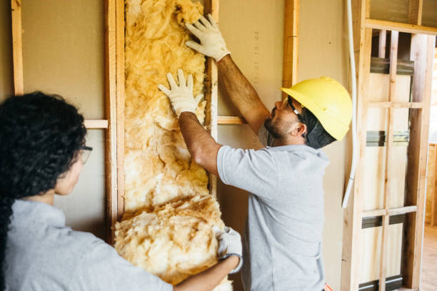Best Local Insulation Services  in Pine Level, NC