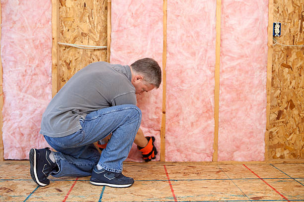 Insulation Replacement Services in Pine Level, NC